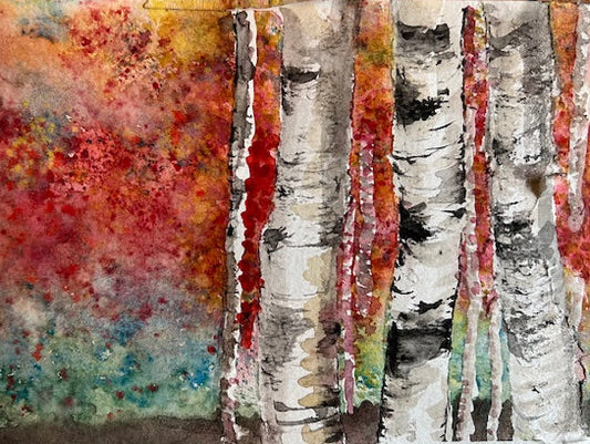 Artist Greeting Cards - Birch Trees