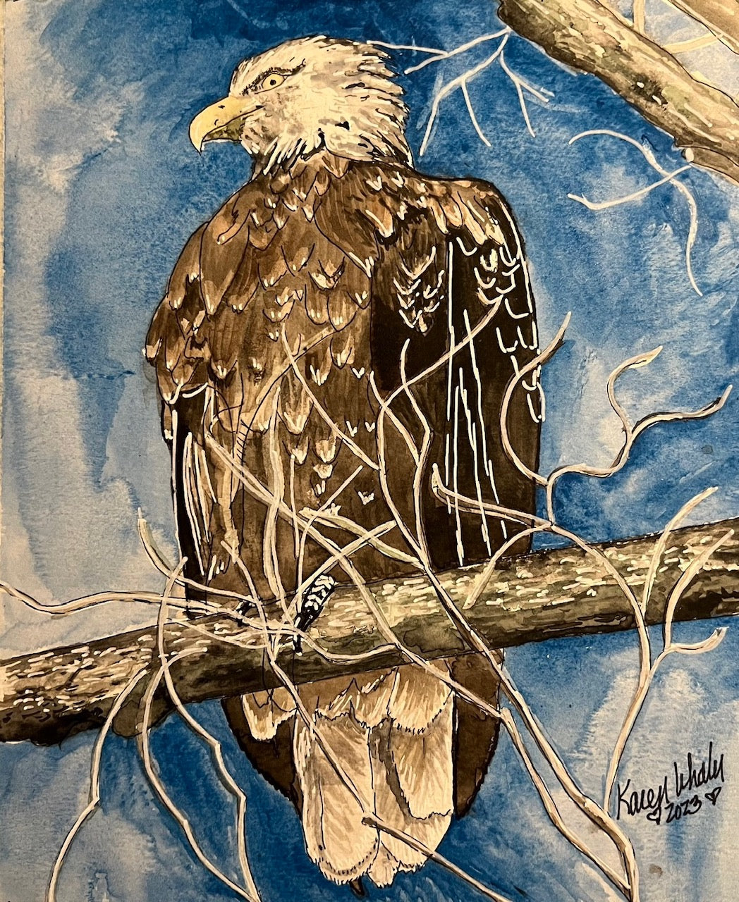 Artist Greeting Card - Eagle